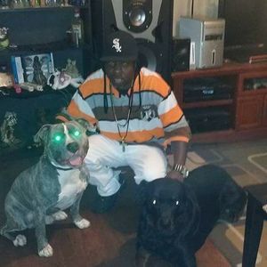 Meet your Posher, Norman